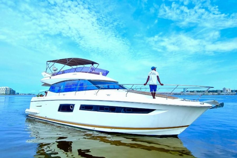 Observação de Baleias e Golfinhos